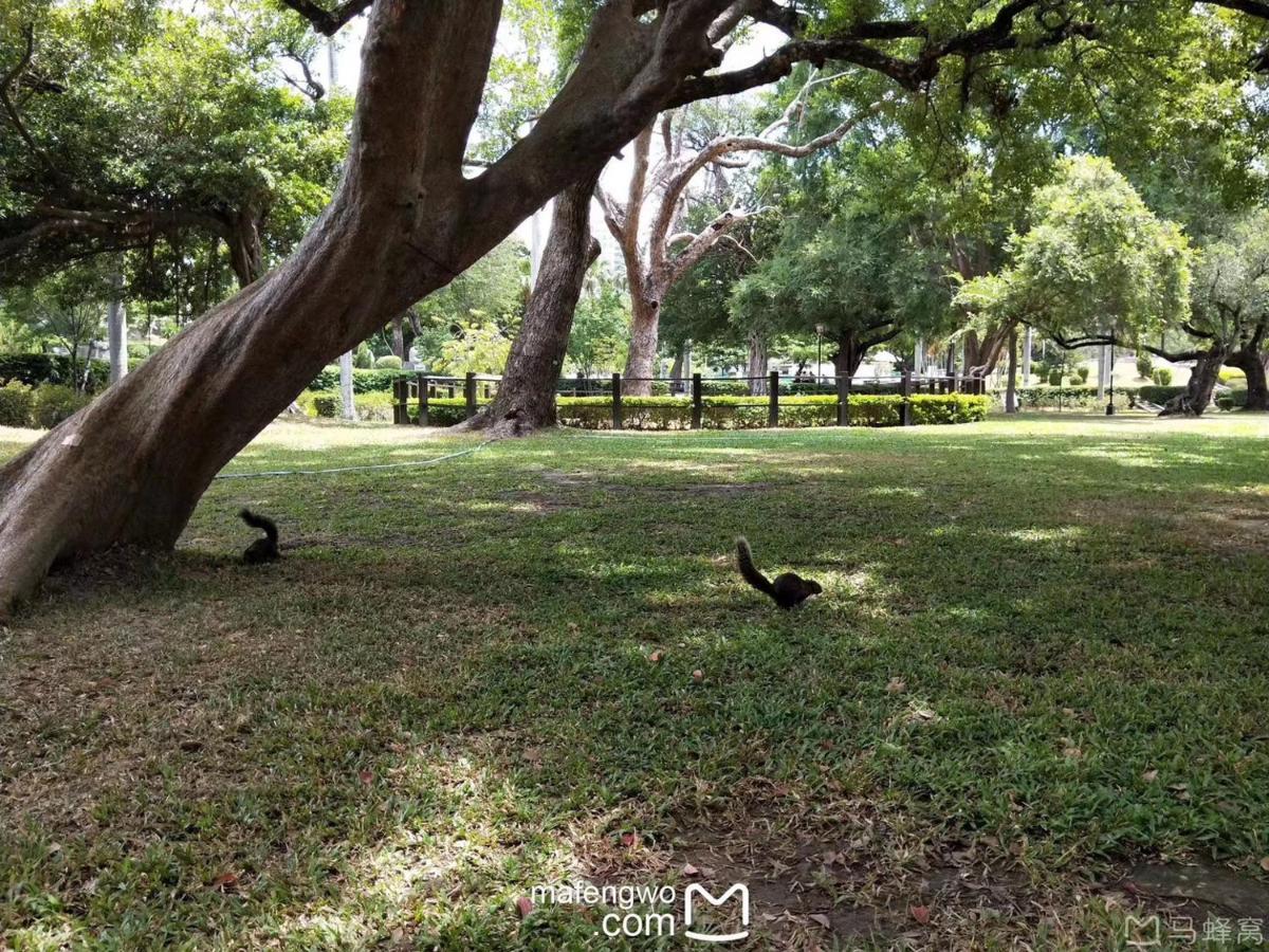 星霖之家 Apartment Taichung Bagian luar foto